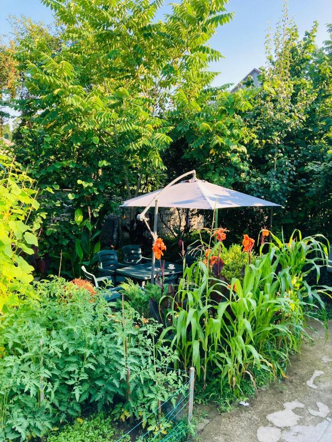Guest House Barbi Batumi Kültér fotó