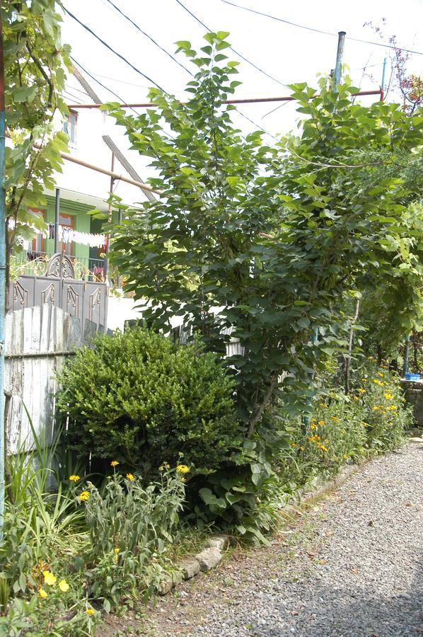 Guest House Barbi Batumi Kültér fotó
